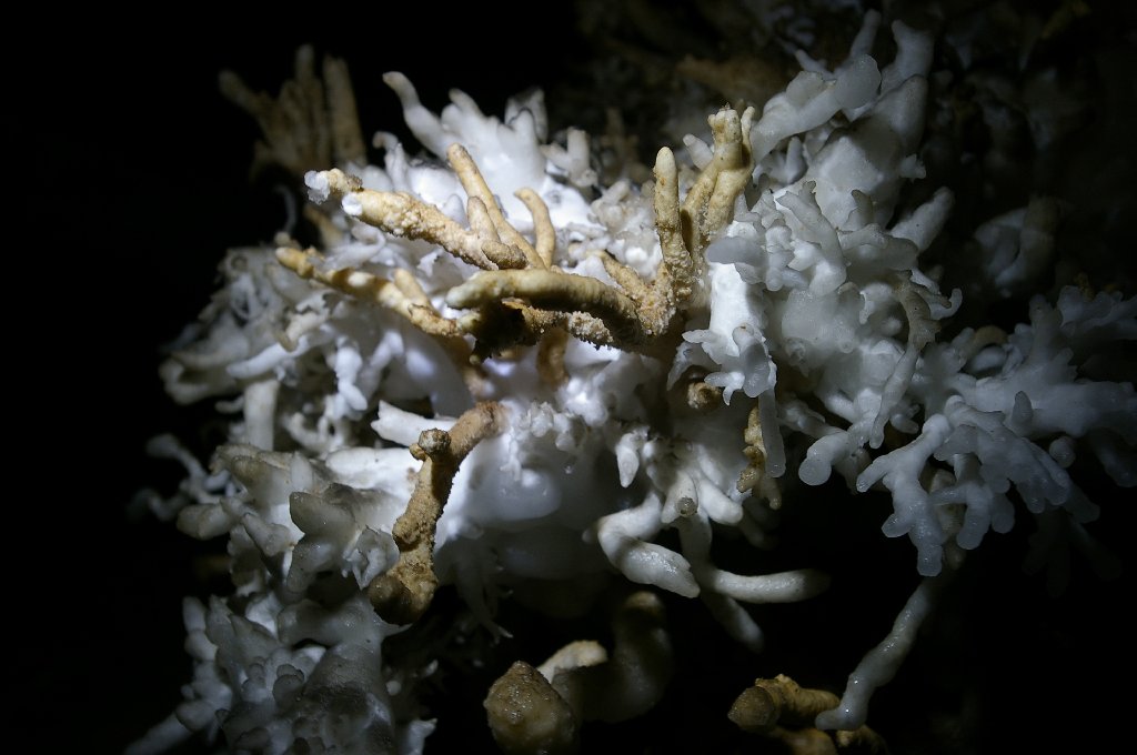 a group in the darkness 